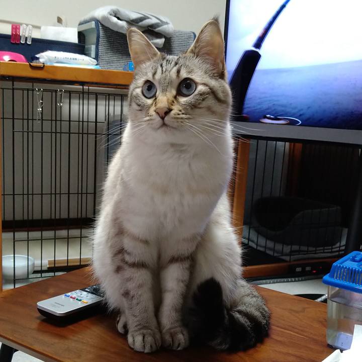 4823697f 4cfa 4ad8 948c 41967589e6c2 1621259547666