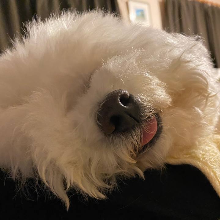 48237329 e742 499b 9978 81ee17c70346 1616249018854