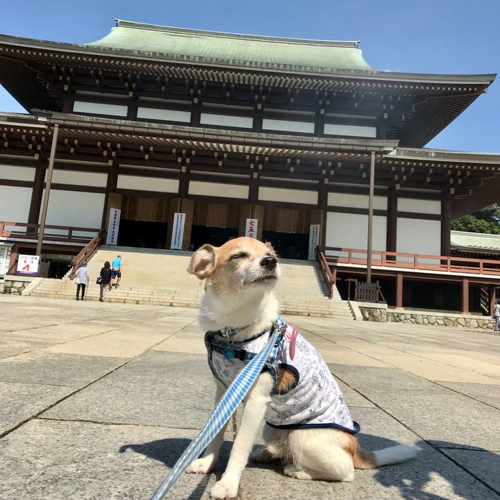 48239e54 ca8e 42bd a6d6 5a2daad738f8 1632477606885