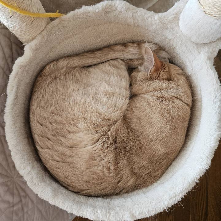 4823a46f 4e65 4b74 b2af af4deb42ef0e 1691885192135