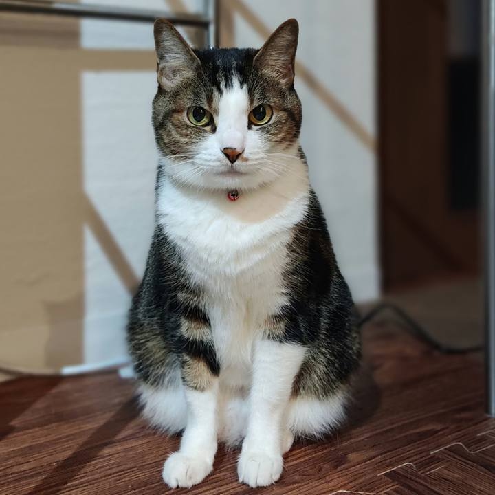 4823a97f 3a16 474d a29b 41a6bdfbddfa 1676247143087