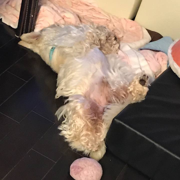 4823cb74 3a0f 419b 91a7 108e72af990e 1528648799919