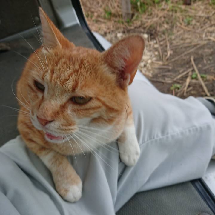 4823eab9 ec5f 409f a7a0 327ba6e83a7e 1594631370286