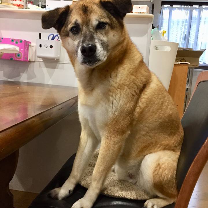 482405ae 446d 4acb 9031 2fb1e3c11f16 1521595513498