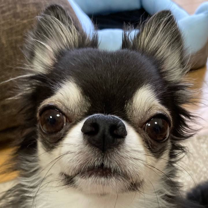 482406ff 4432 4841 a383 fd57c7f3c375 1689977756171