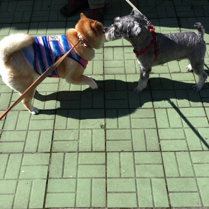 48240ab6 6971 42e0 8760 dc2f273a6722 1570234808489