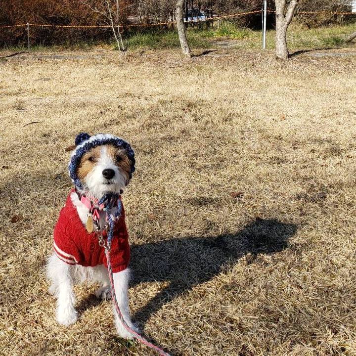 48243c7a c589 4579 af6b f302402d8876 1638689796273