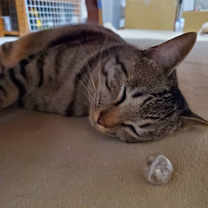 48243cf8 827c 4dd4 9a47 50025f6e9bbe 1700671996346