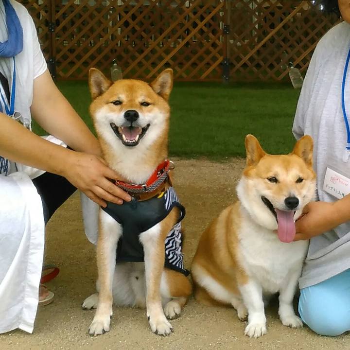 4824465f e9f3 4e30 bae4 2d3f892825af 1565092270194