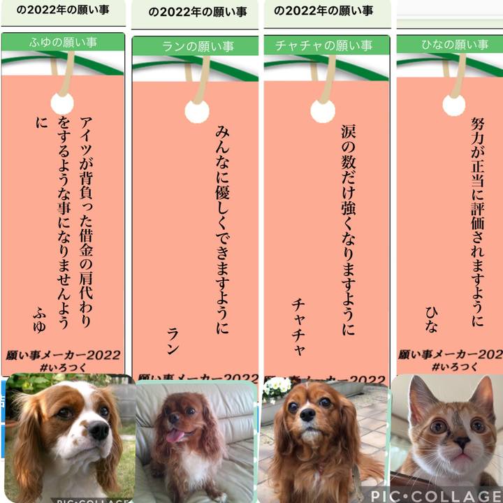 48247bab b006 4b99 866e 74f7500905c8 1657117771202