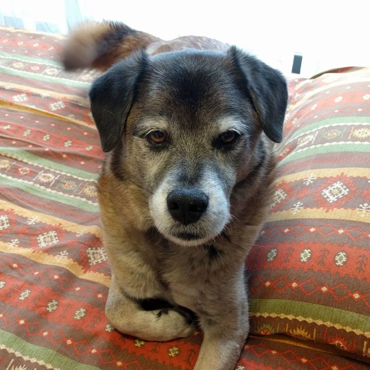 48250082 7644 4e80 b699 23b9e99fa3ce 1551248411240