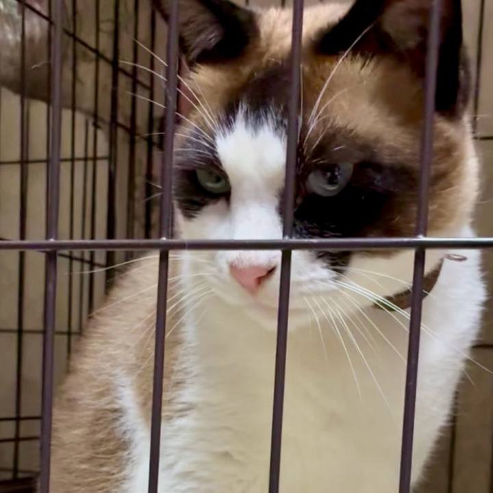 48250b86 e06c 480f b368 be732fe9a254 1750796881522