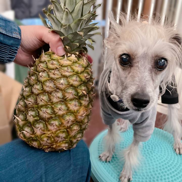 48251fb4 e28f 45b2 a9b6 9942f56a4f32 1773740779197