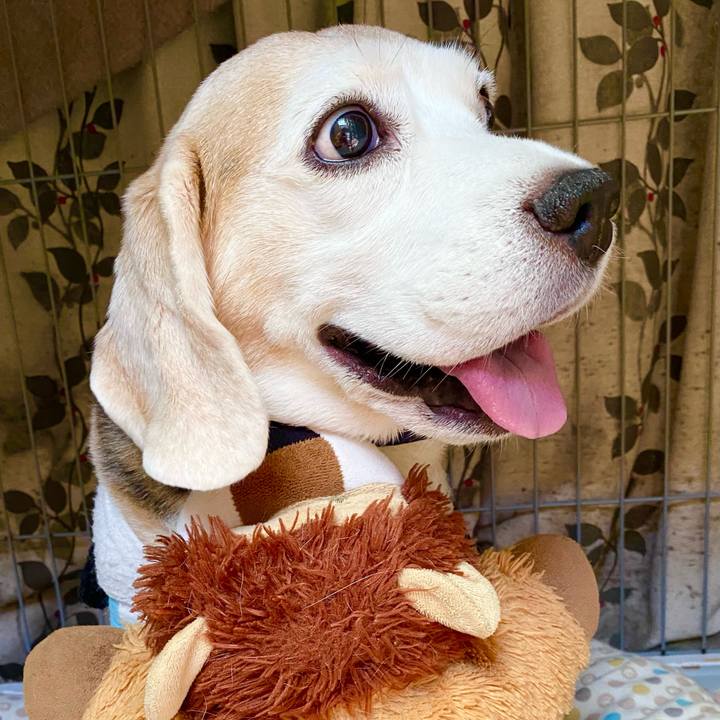 48253c95 267b 4305 a02d e8593e3b3b5c 1628222015280