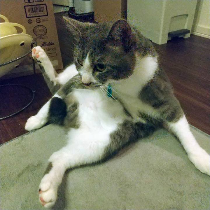 482563bc 9870 4c84 a06f d37259c3cb7a 1624016261089