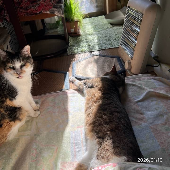 48256b1f 89e0 4f08 afe0 739491ebd2b5 1768006393108