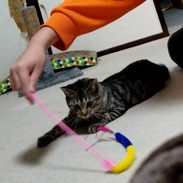 48256cd6 f41c 46fd 87fb 96724fbd34b9 1676907233112