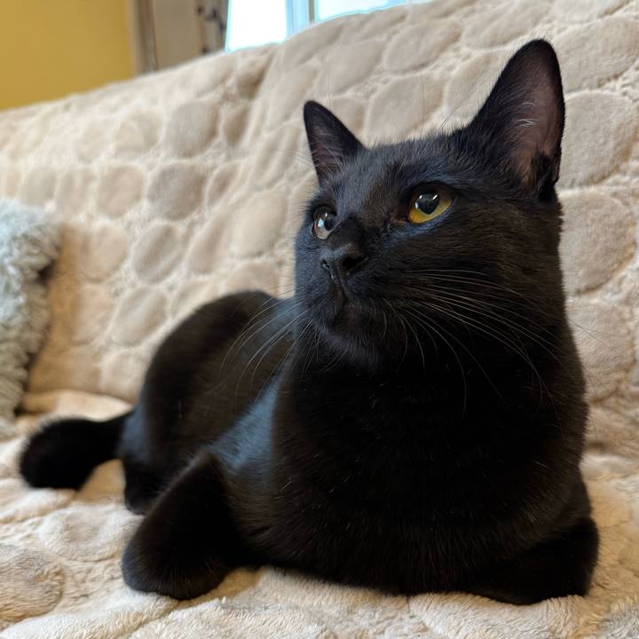 48257b51 c481 4a9e a65b bc654be17ba7 1773699279535