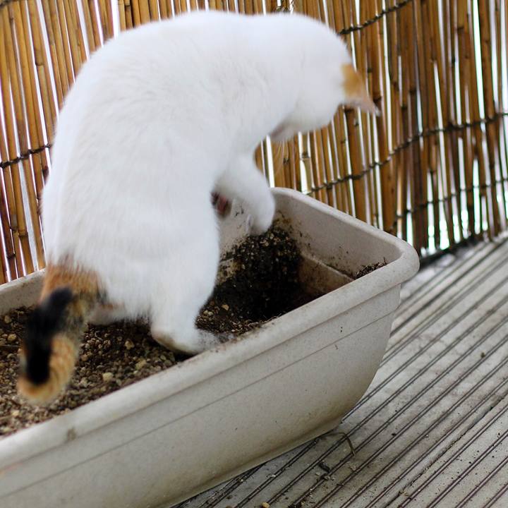 48259f7c a368 4575 a152 6ea0d36316b1 1560474854490