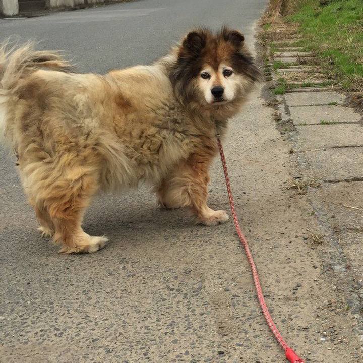 4825aa4c 71b5 4434 a64e aefda1181e0e 1581373500031