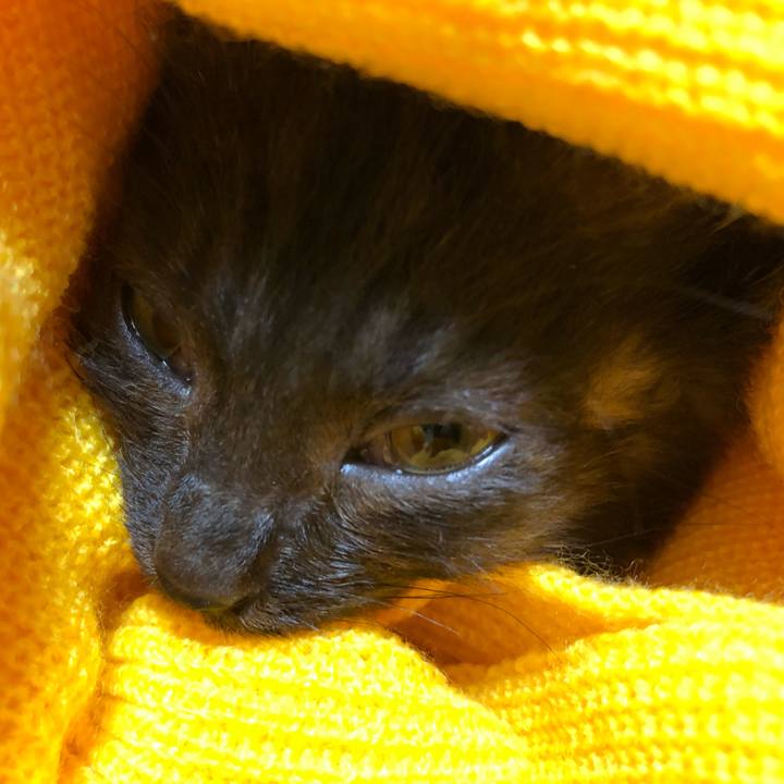 4825be13 61b5 445b 8641 4edb9715b049 1603807293384