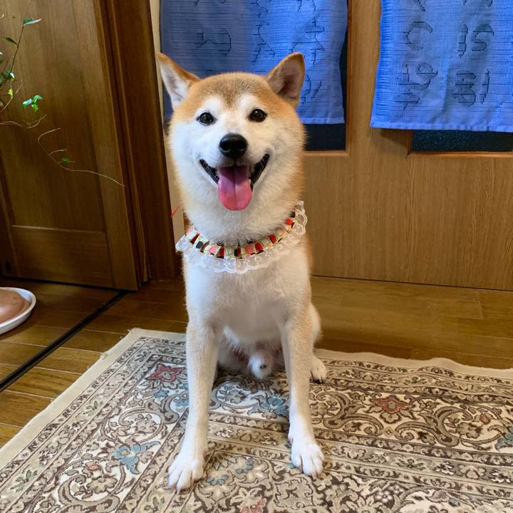 4825de75 36a5 4bb5 8a4f 41d5bc6a116d 1661944366111