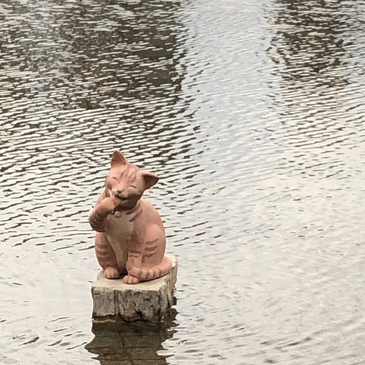 48260e46 fe4f 4e7f b475 c4b5a92ffd2c 1647263013920