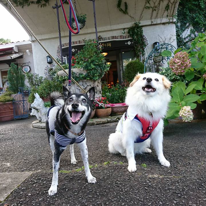 4826b037 7ada 4c3f b868 261b3b31bd0e 1758367267451