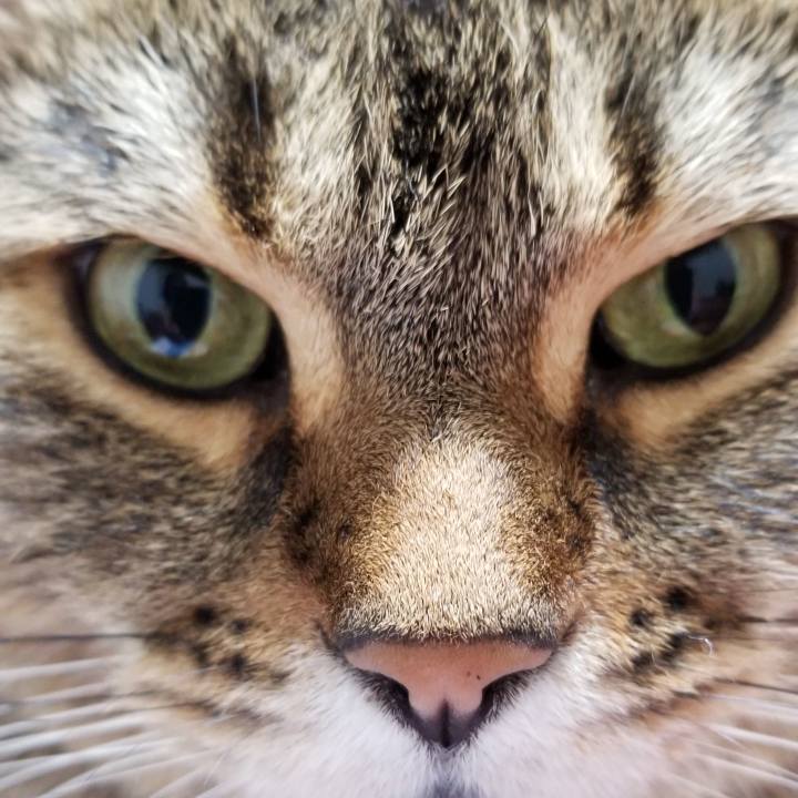 4826b4c8 73ed 44f3 a7d4 07e427b972d3 1561770406613