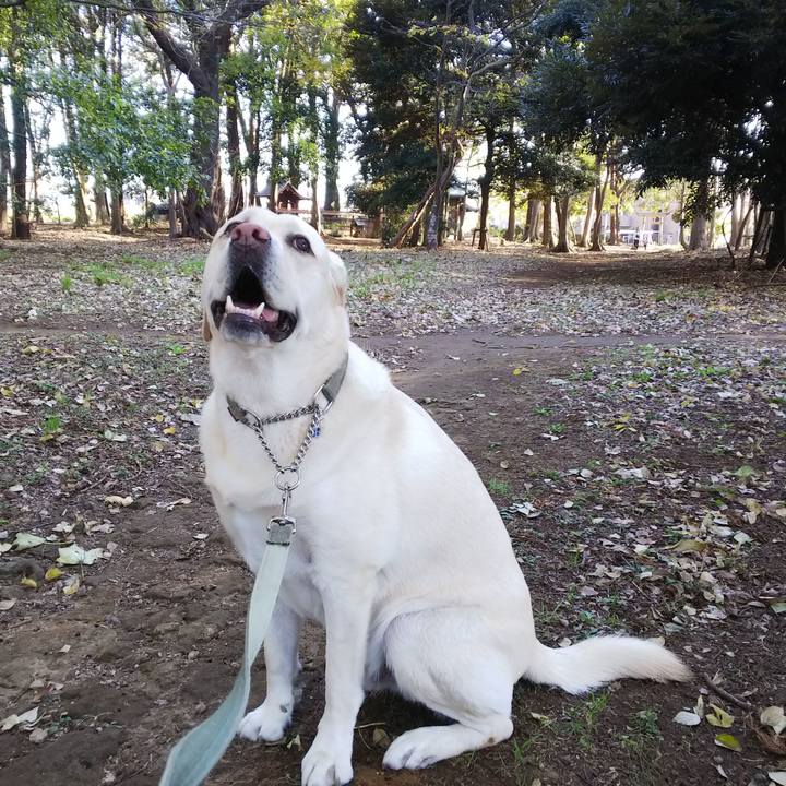 4826c00e 44e6 4e5a b4e6 3d942695ab2b 1574317542493