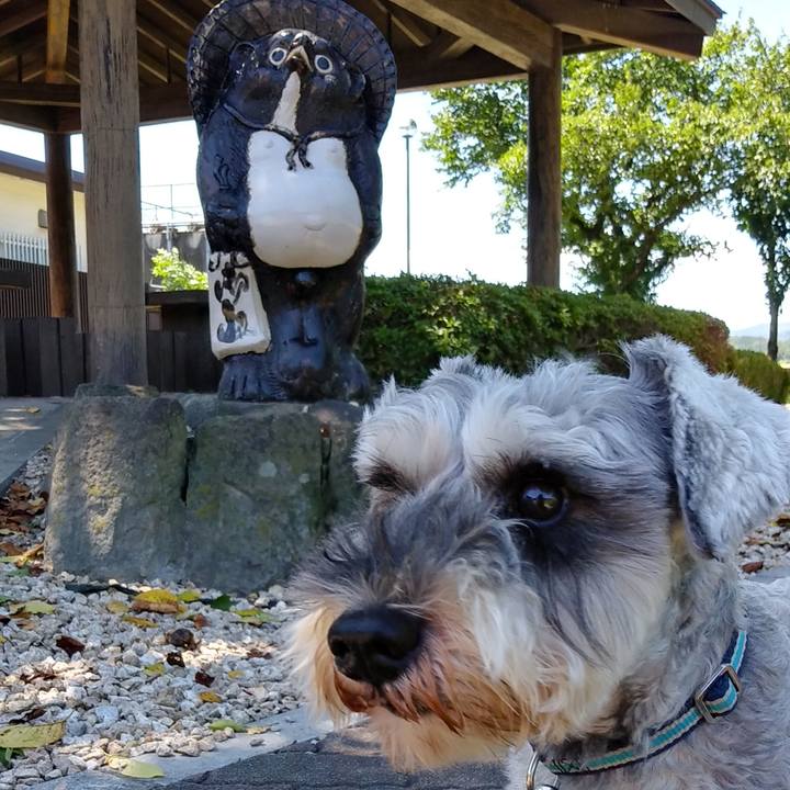 4826e409 30b1 4f7c 8f30 4d0e13434fac 1534472899619