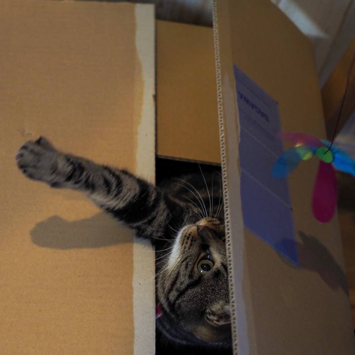 4826e6b5 5915 42f8 a995 642ee6bb24d7 1610510424194