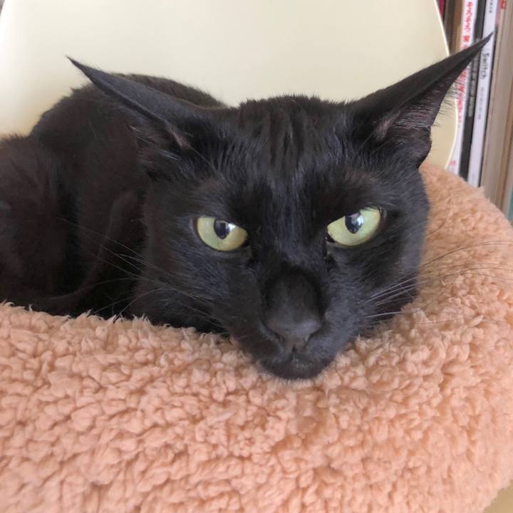 48277199 bbbd 4ba0 be8e 6b050b1b3a33 1530326998399