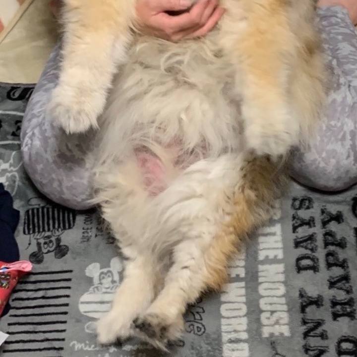 48279826 3417 44e9 a6fb ec261d274e71 1571959064659