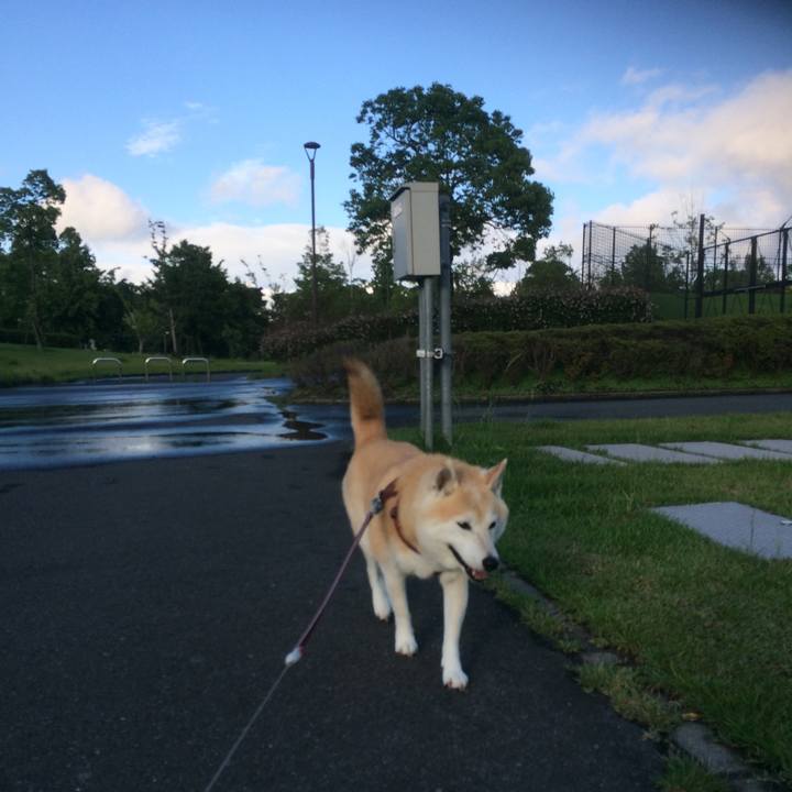 4827f194 3895 49a2 9a5a 99b70b0608f0 1592621544203