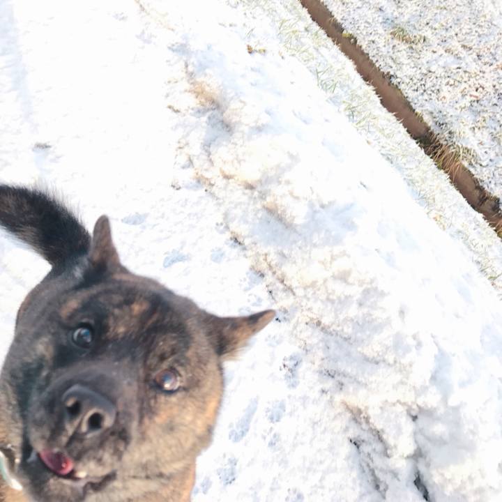 4828798d 38ef 42f6 8de3 b4d3ceb75d79 1519173399371