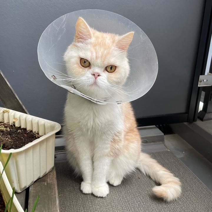 4828de79 347d 4ef2 9f44 5707b4b38957 1757912826557