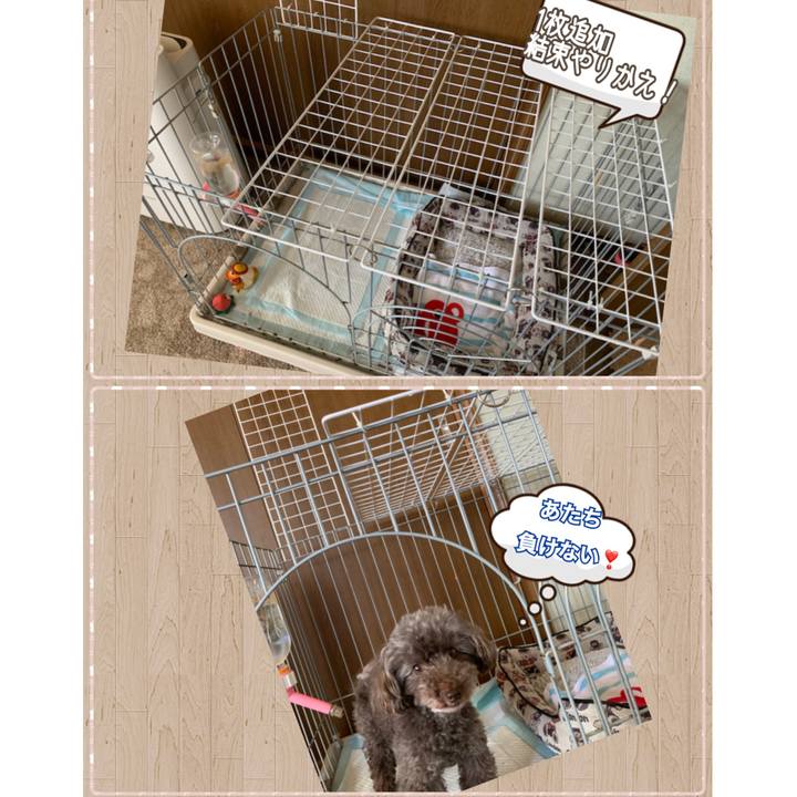 48296336 39f7 412e b5a8 4524be7b9bfe 1569389757523