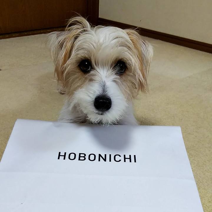 48297f8b 0e33 4af8 af17 325a6dc08749 1546084745558