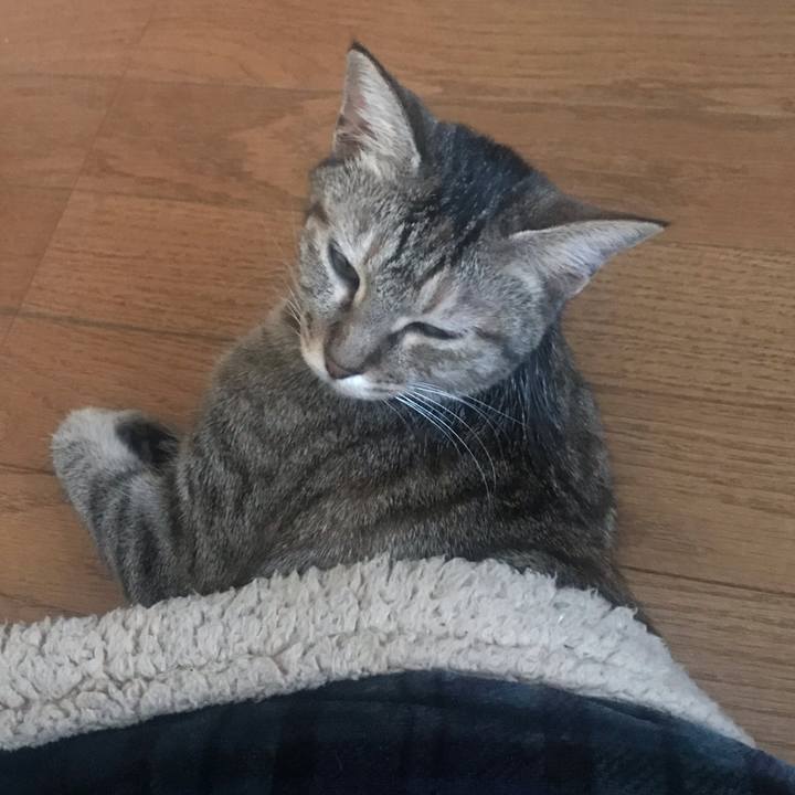 4829984c 89fa 4de0 b125 3fe1ccbf595f 1574397932101