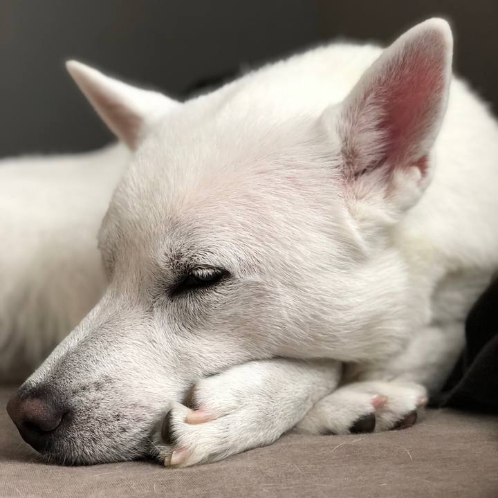 4829c3ca cfe8 4f40 8a15 1053ba3ca7c3 1568514740396