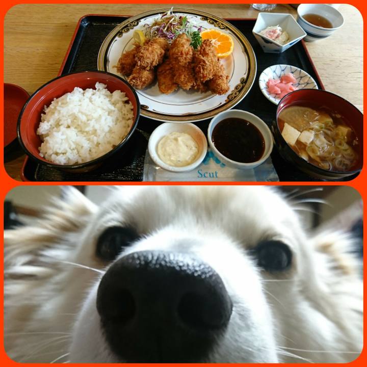 482a0894 846d 443d b77b f844dfcc5370 1517982225715