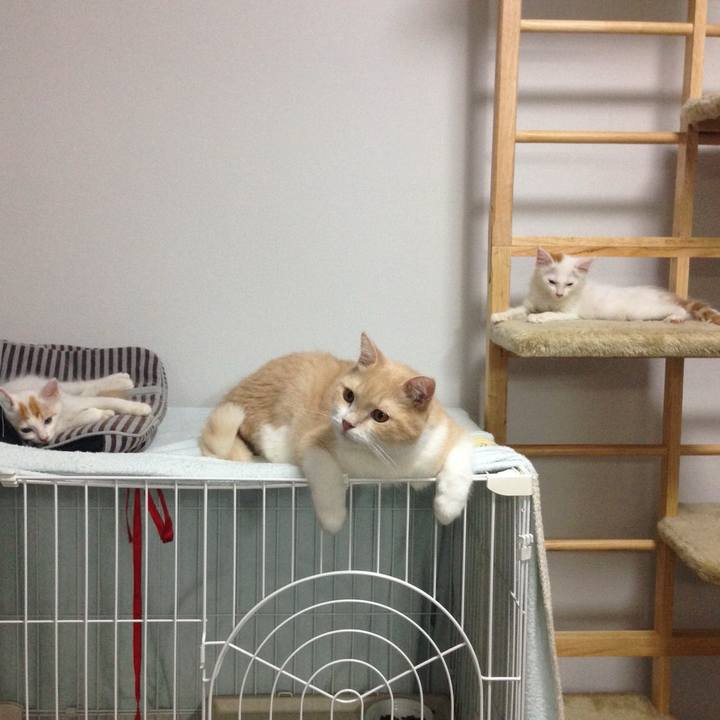 482a22d9 9143 473c 9843 6f792a786f8e 1757117339193