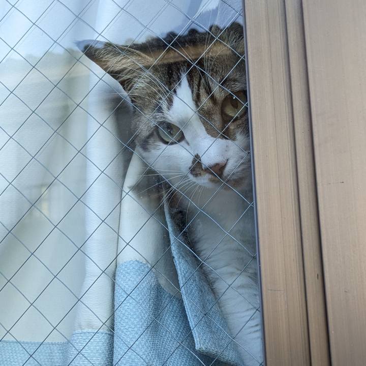 482a4df4 41a7 4df7 b184 dd274c4c7757 1706340390901