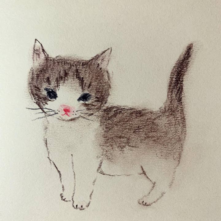 482a580f 727f 4c7a a3f2 8aa074e24fa9 1651922874204