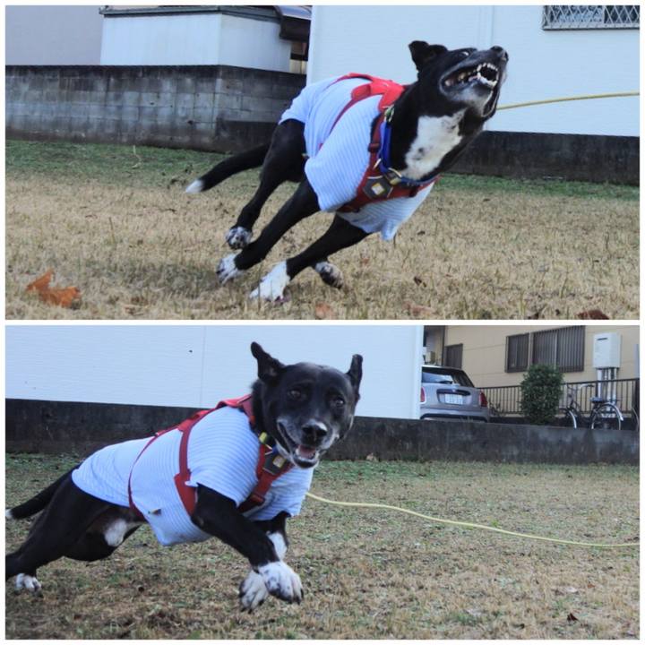 482a7437 2494 4242 86eb b1a751251201 1670549618878