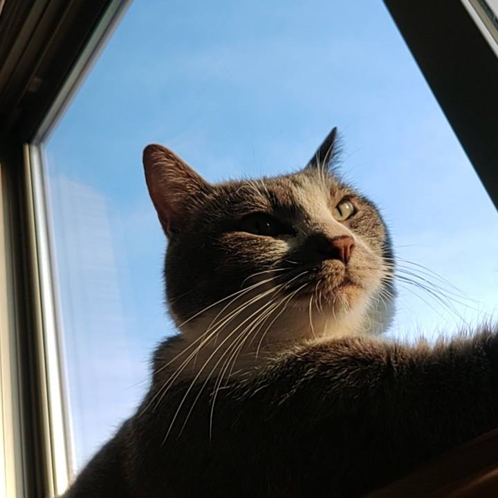 482a83dc 45c8 4b53 a557 91b4dc3adb22 1656453967454