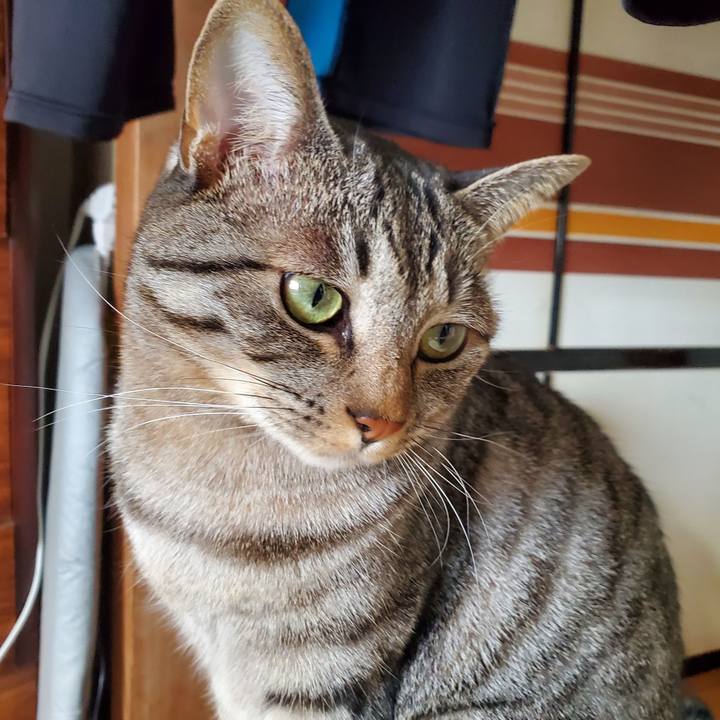 482a914a e47e 4181 83df 45e783bfa43b 1708089514363