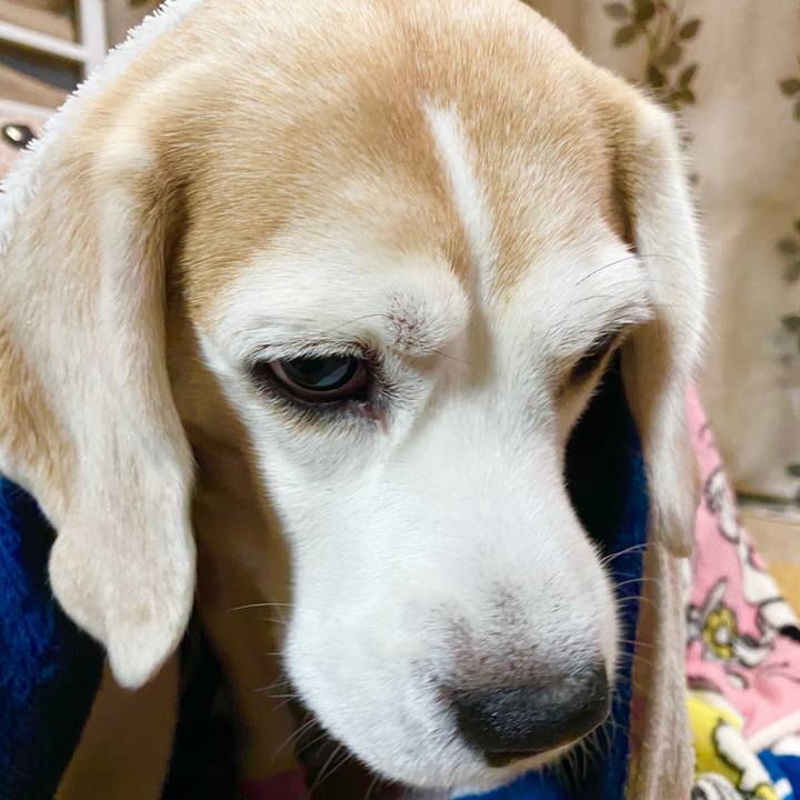 482ac406 c50e 4647 843d 34540832a38d 1584159076943