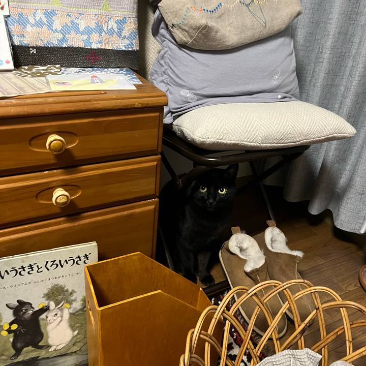 482ae2d0 7e1b 47b4 935a c35b3c4d4e80 1704451478827